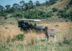 THABA ECO HOTEL