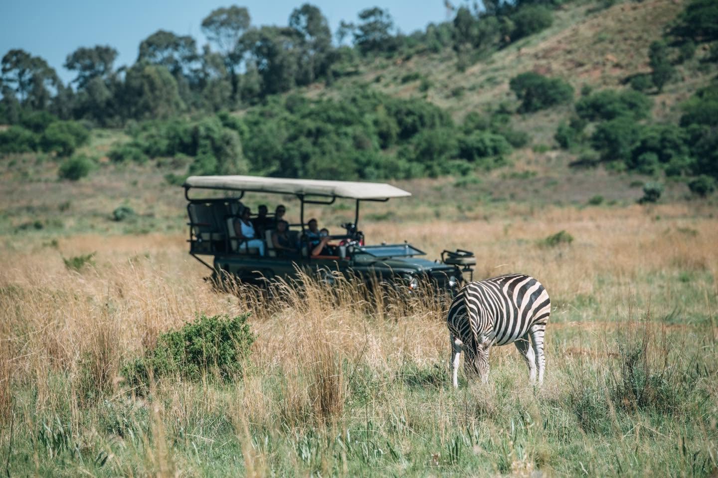 THABA ECO HOTEL