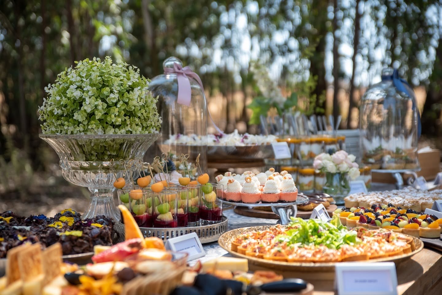Thaba Eco Hotel Events