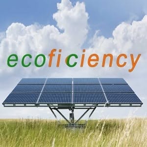 Ecoficiency