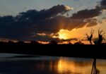 Catz Tours & Safaris