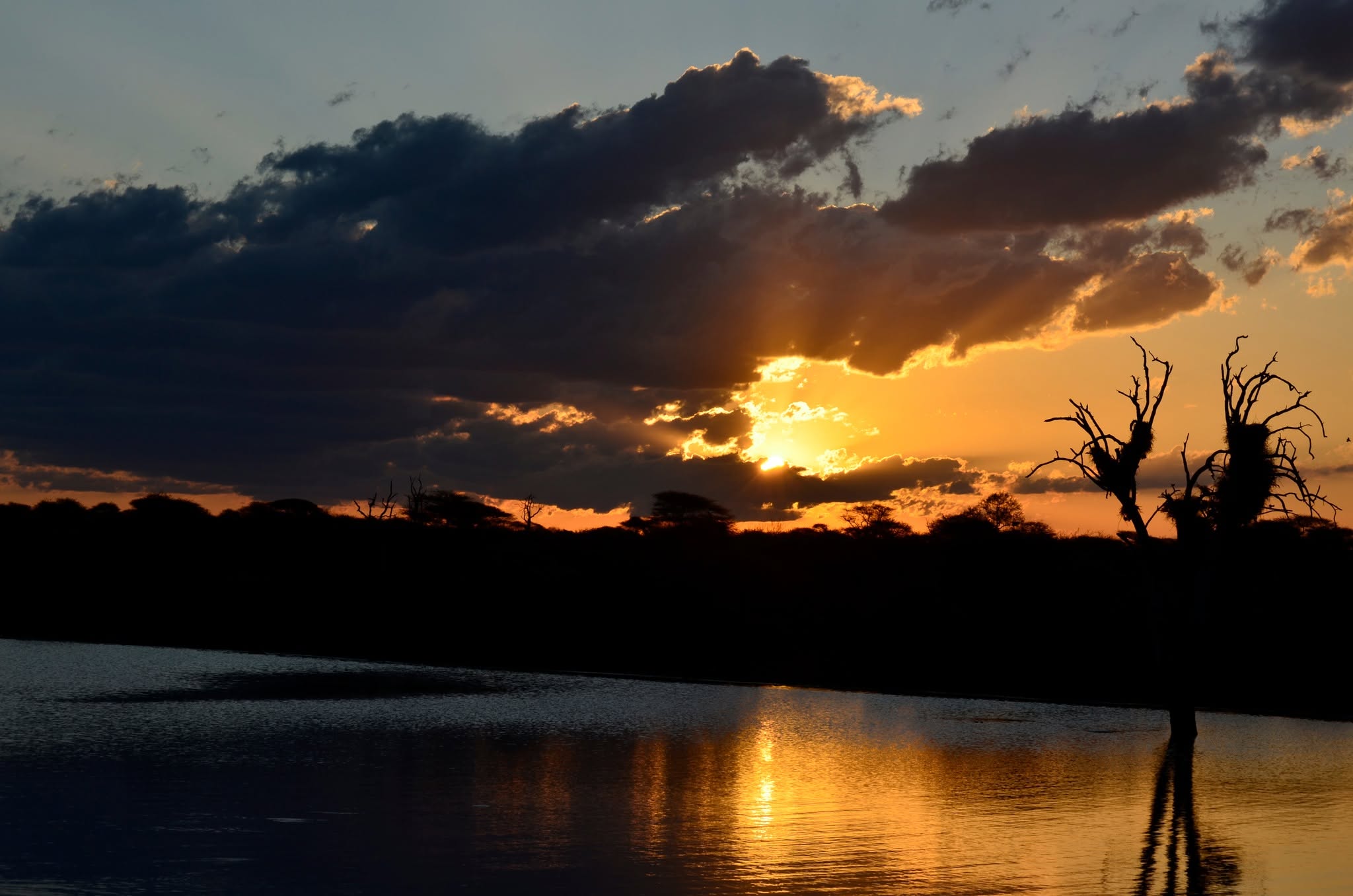 Catz Tours & Safaris