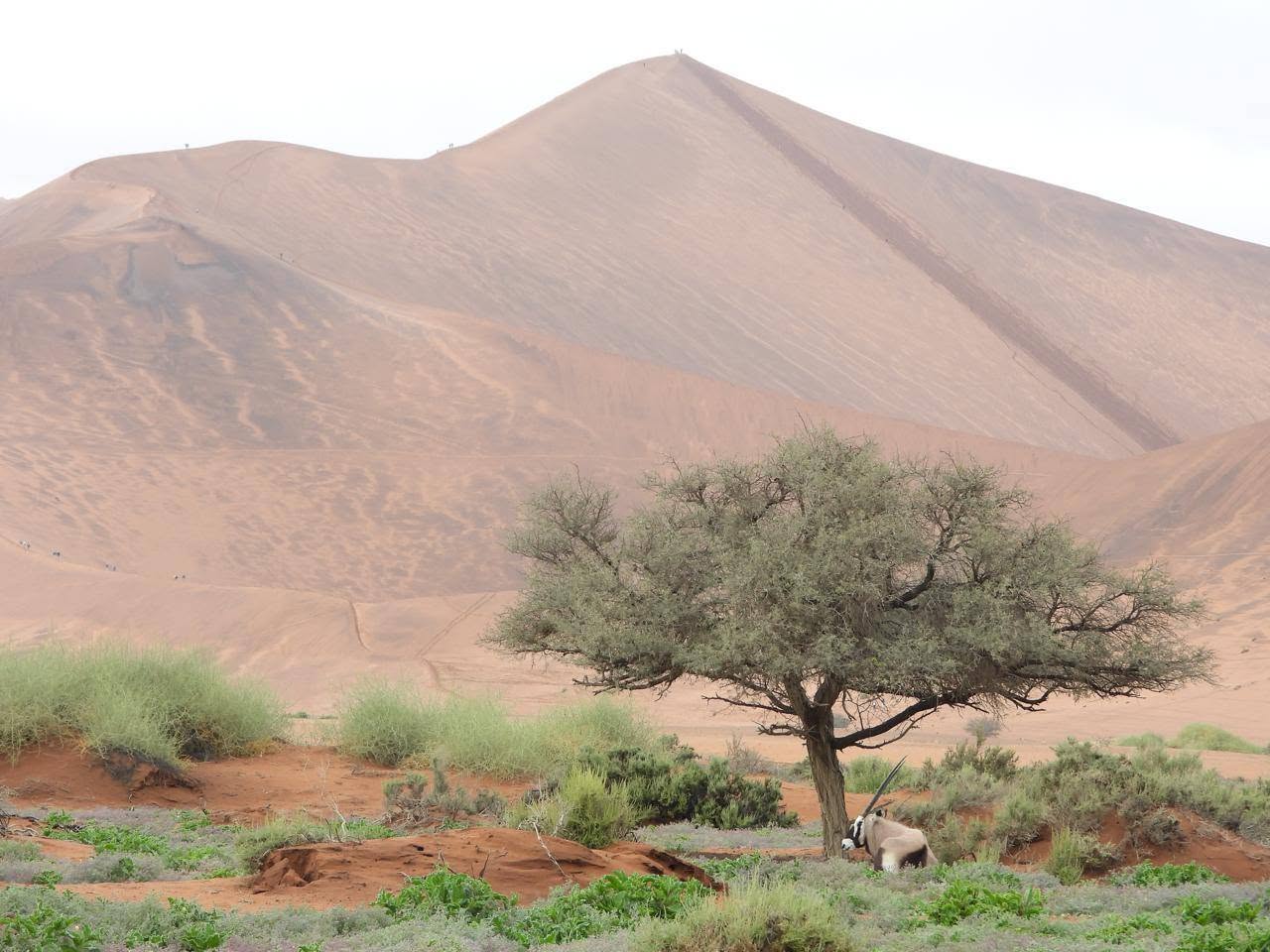 Catz Tours & Safaris