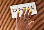 D’NTLE BEAUTY NORTH