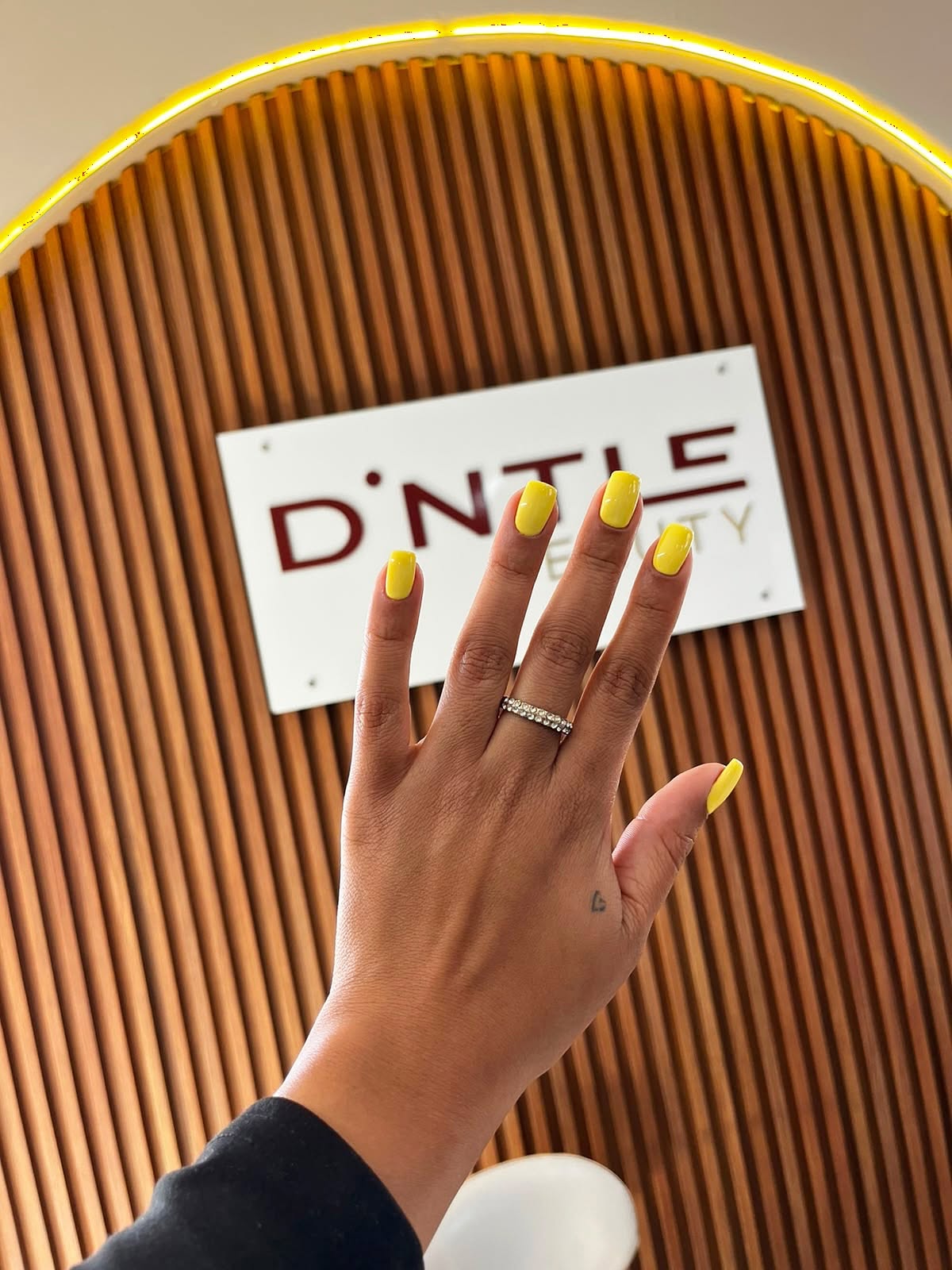 D’NTLE BEAUTY NORTH